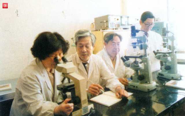 15、黎雪如、扈成浩、吴玉德、彭建中教授开展多学科合作研究,联合攻关_副本.jpg 15、黎雪如、扈成浩、吴玉德、彭建中教授开展多学科合作研究,联合攻关_副本.jpg
