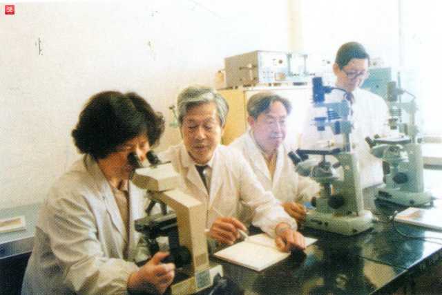 14、上世纪90年代,黎雪如、扈成浩、吴玉德、彭建中教授开展多学科合作研究,联合攻关_副本.jpg 14、上世纪90年代,黎雪如、扈成浩、吴玉德、彭建中教授开展多学科合作研究,联合攻关_副本.jpg